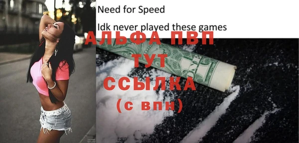 стаф Абаза